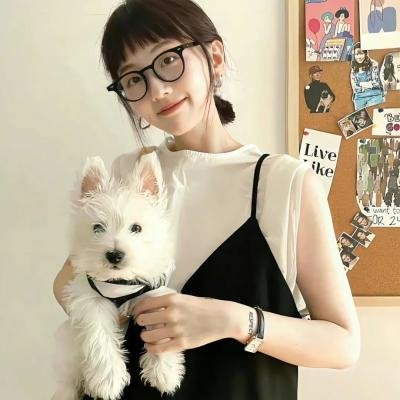 飞鹰人
